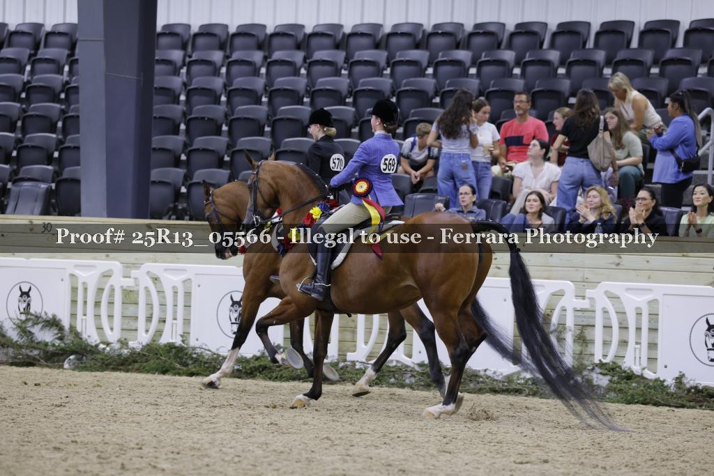 Proof 25R13_05566