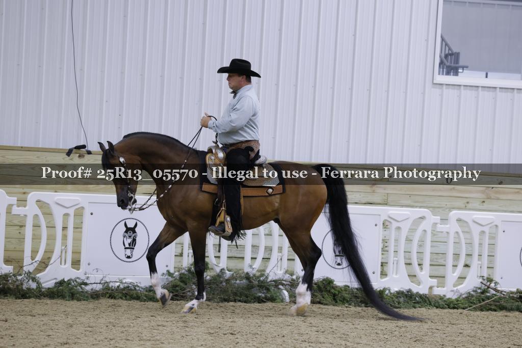Proof 25R13_05570