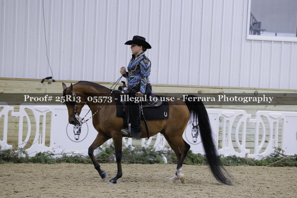 Proof 25R13_05573