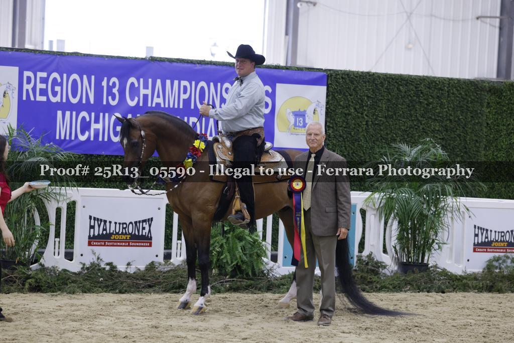 Proof 25R13_05590