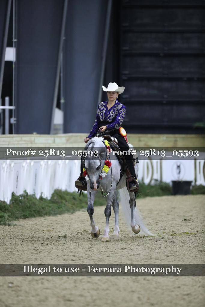 Proof 25R13_05593