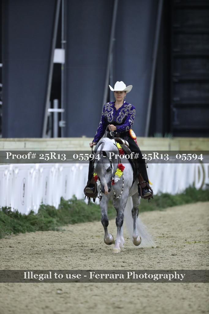 Proof 25R13_05594