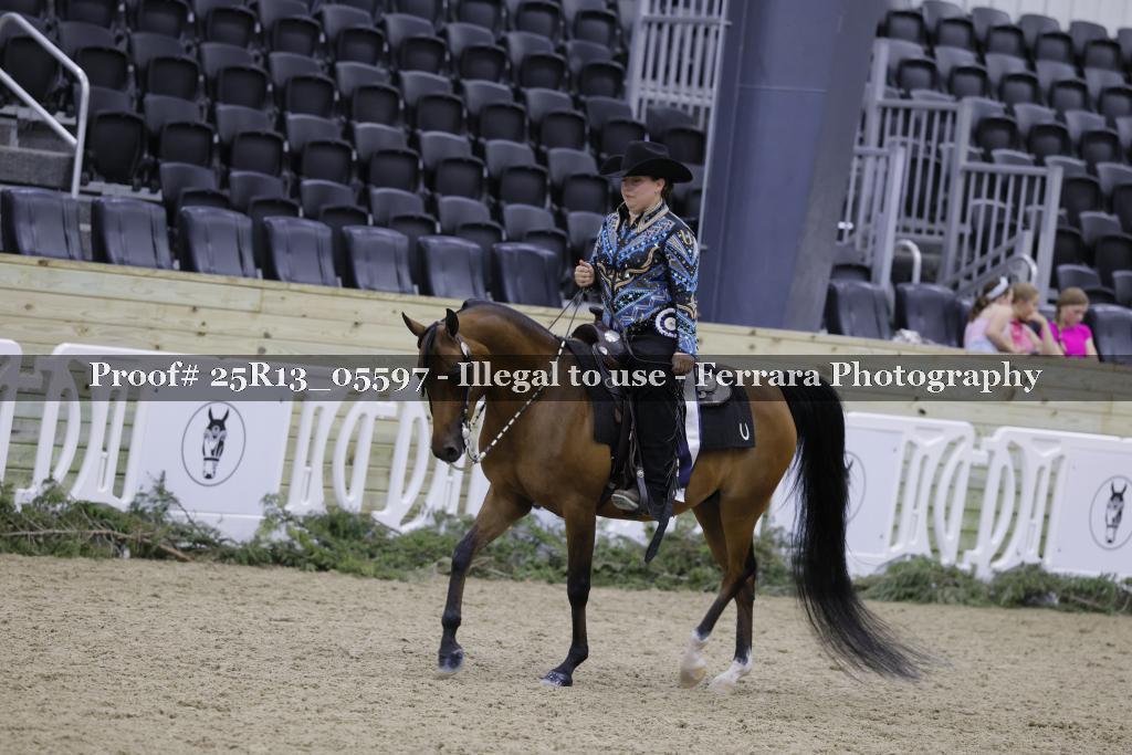 Proof 25R13_05597