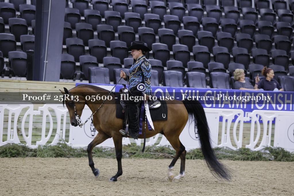 Proof 25R13_05600
