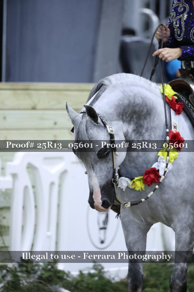 Proof 25R13_05601