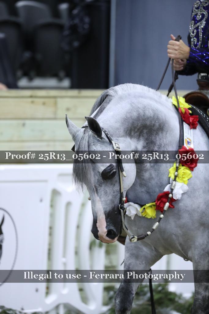 Proof 25R13_05602