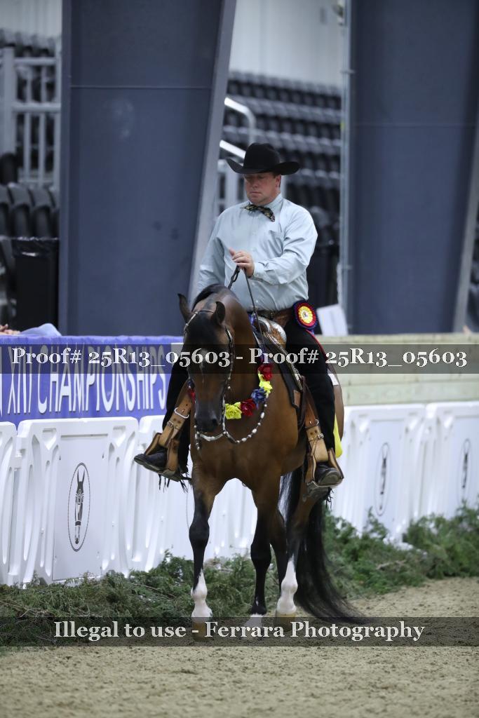 Proof 25R13_05603