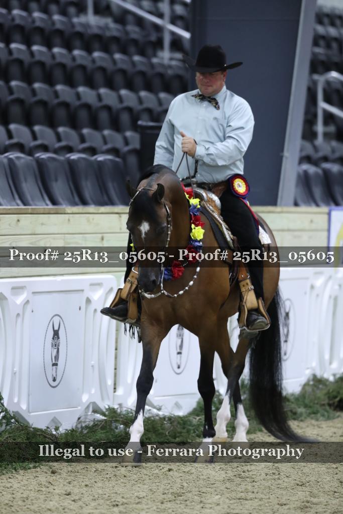 Proof 25R13_05605