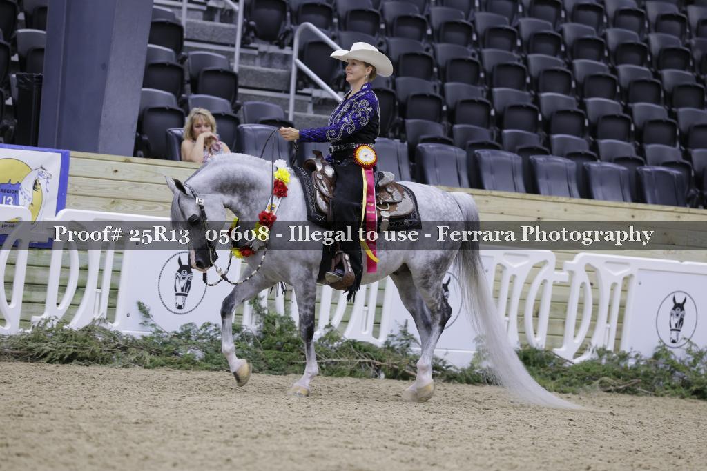 Proof 25R13_05608
