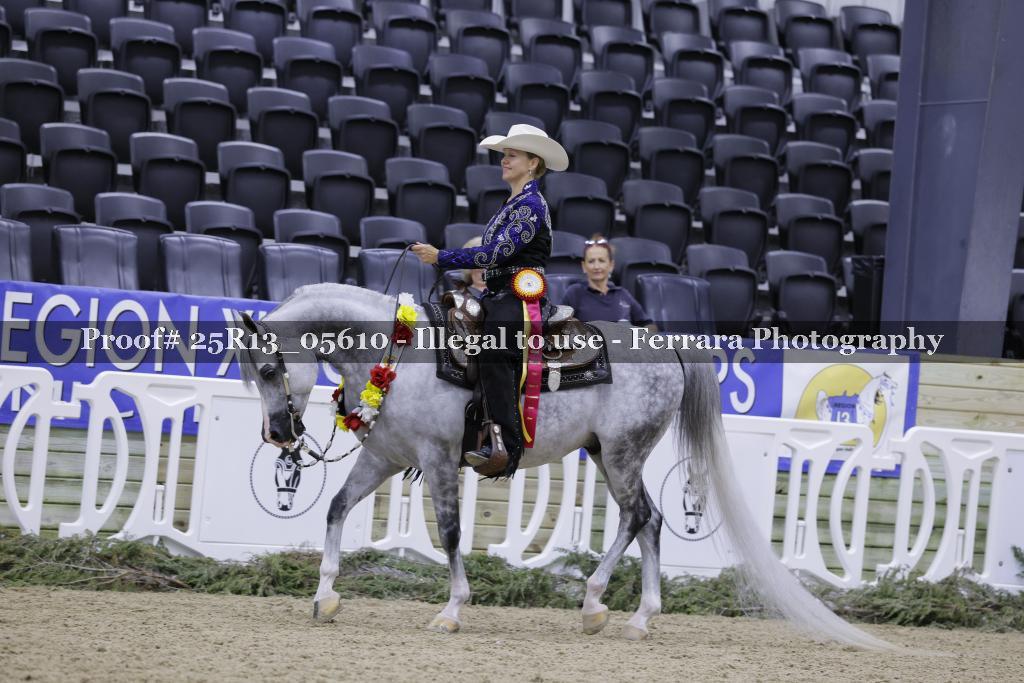 Proof 25R13_05610