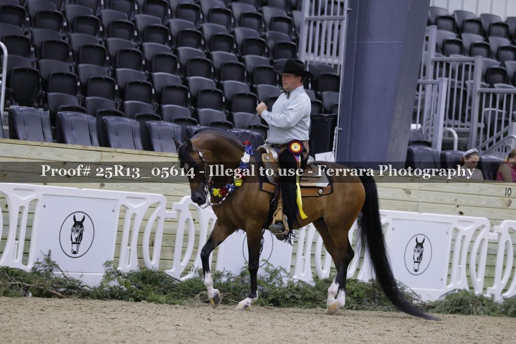 Proof 25R13_05614