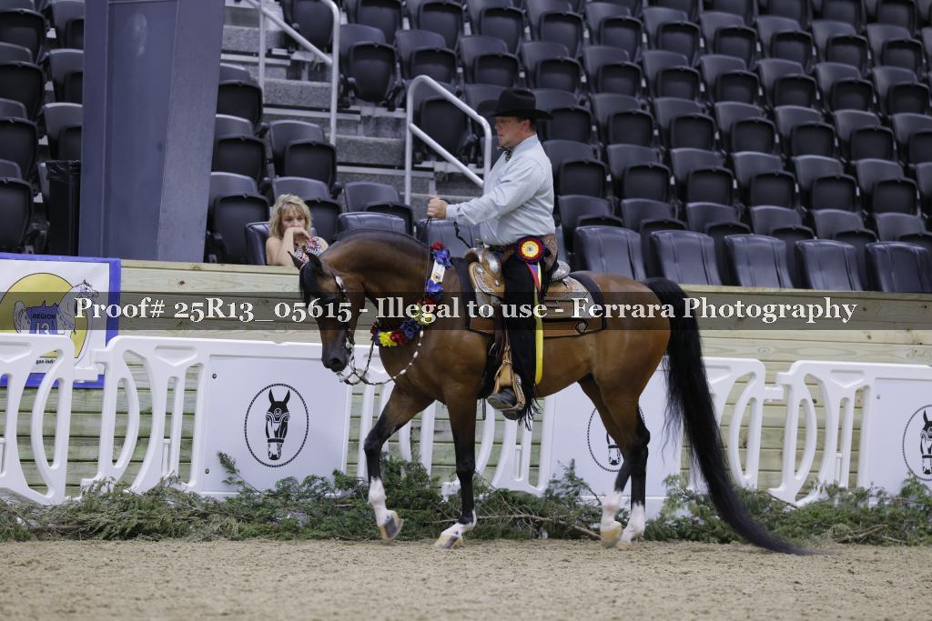 Proof 25R13_05615