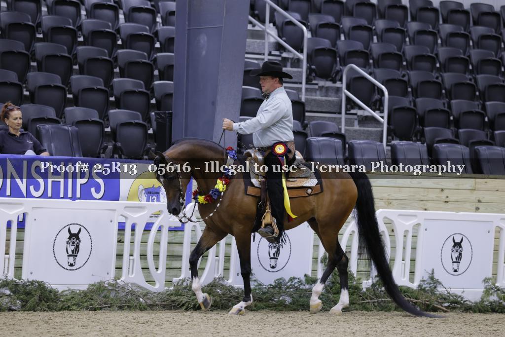Proof 25R13_05616