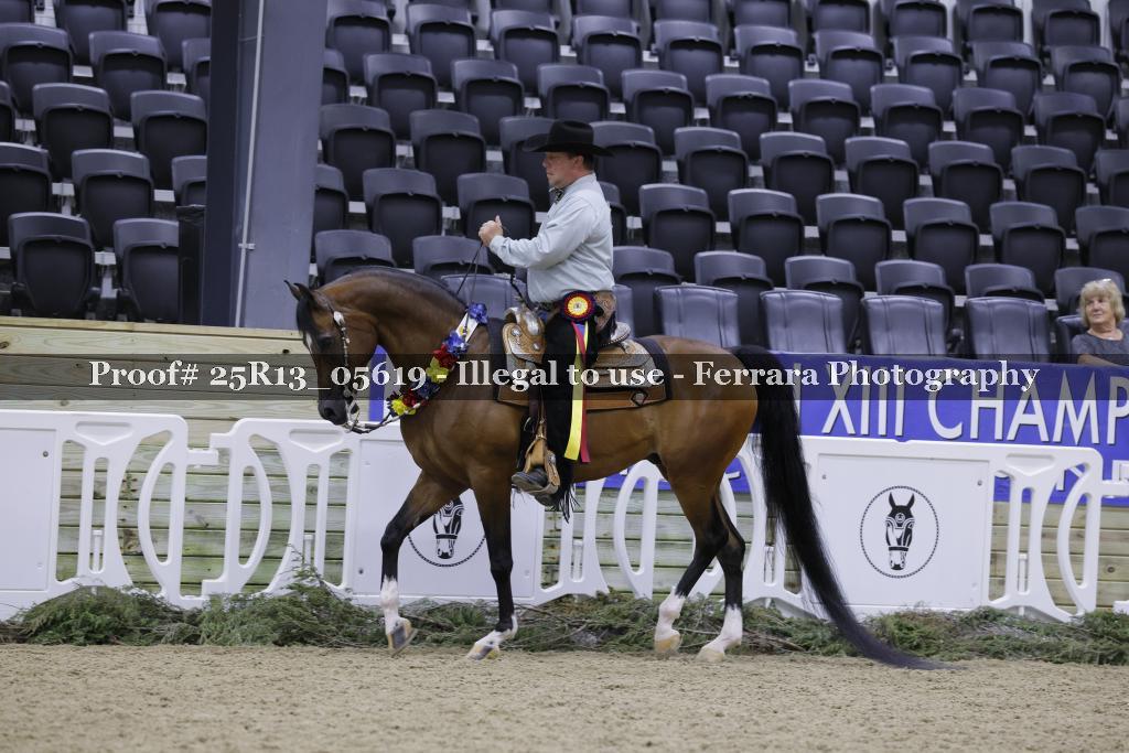 Proof 25R13_05619