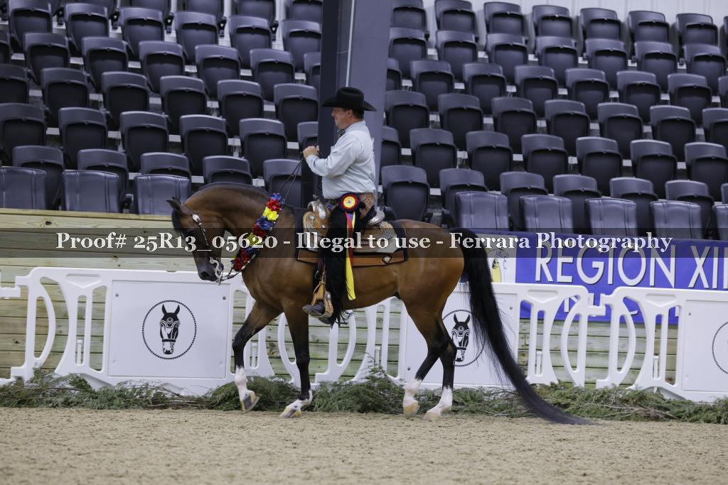 Proof 25R13_05620