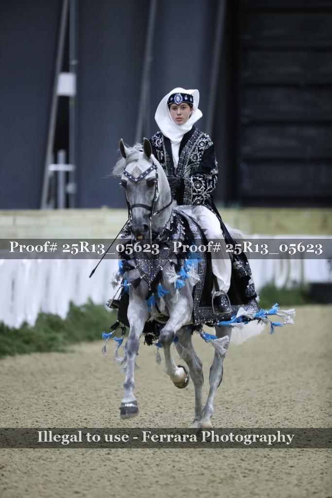 Proof 25R13_05623