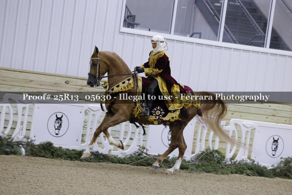 Proof 25R13_05630