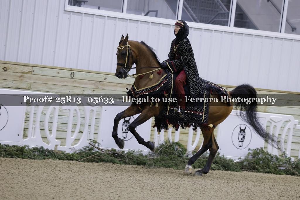 Proof 25R13_05633