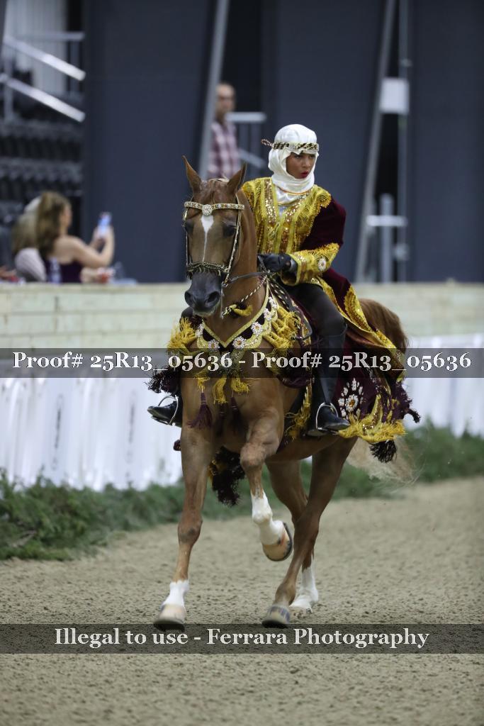 Proof 25R13_05636