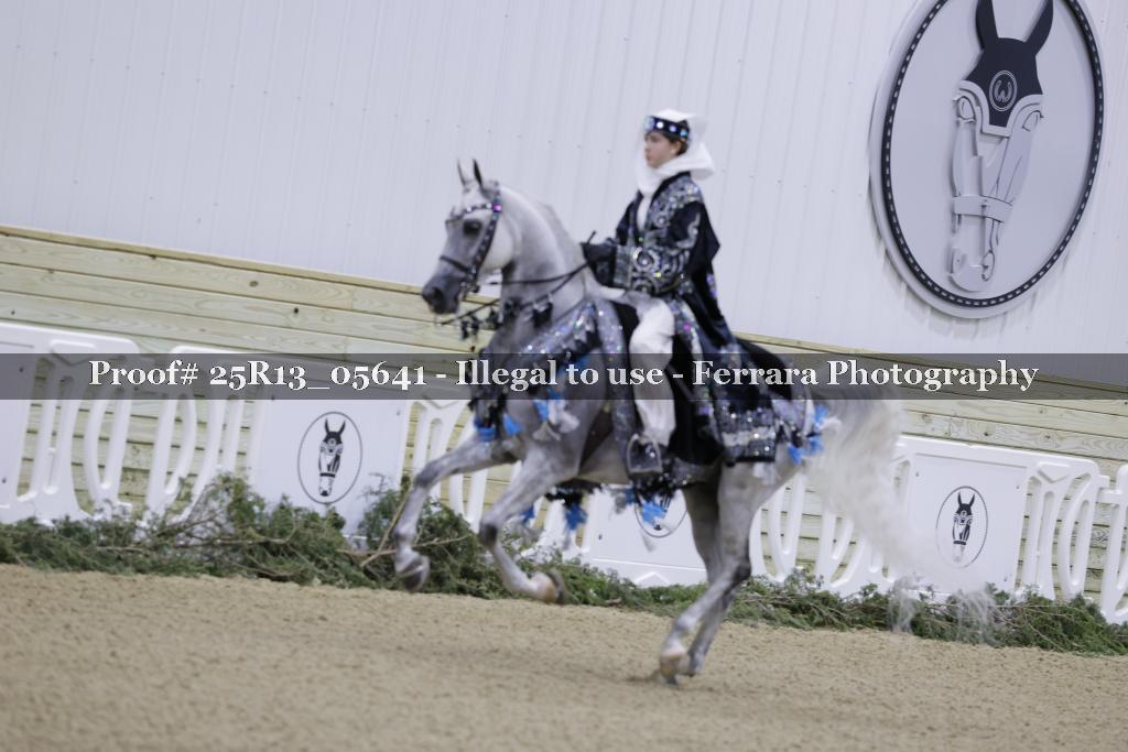 Proof 25R13_05641