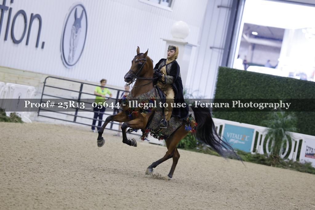 Proof 25R13_05644