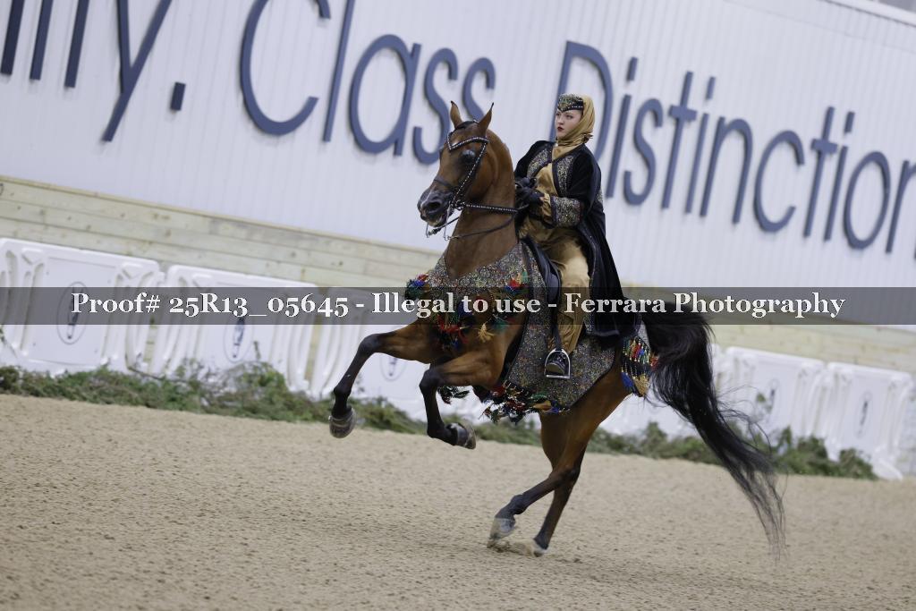 Proof 25R13_05645