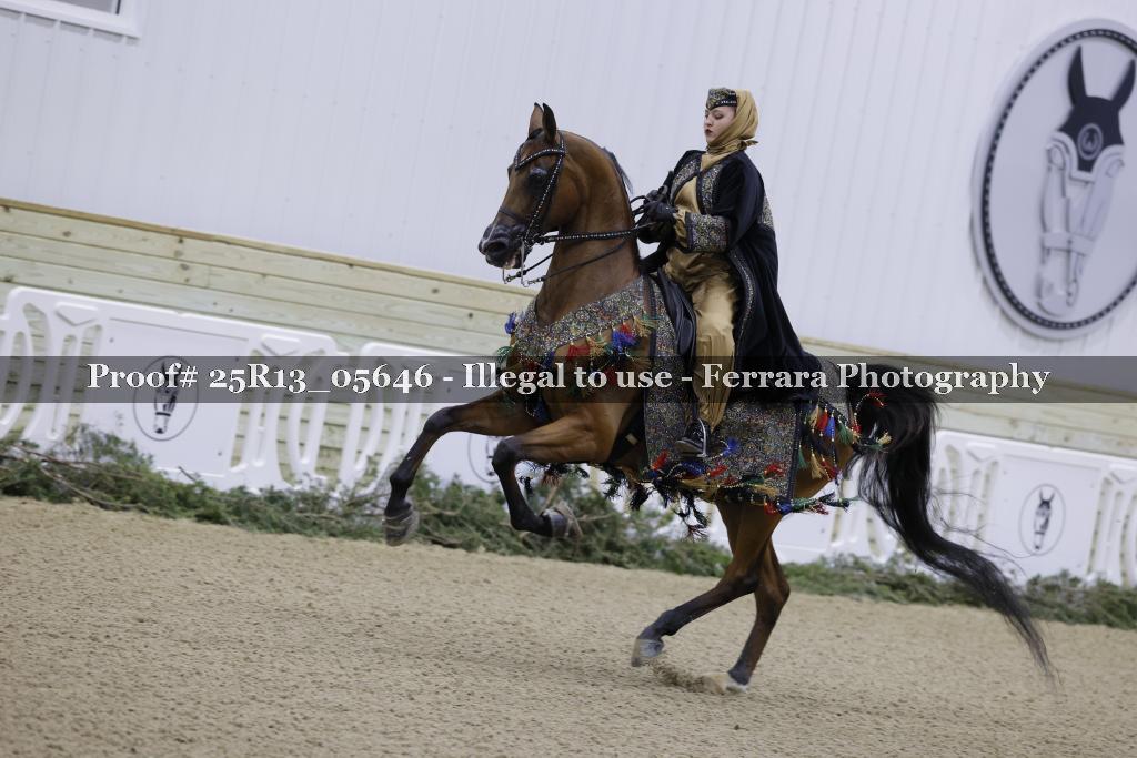 Proof 25R13_05646