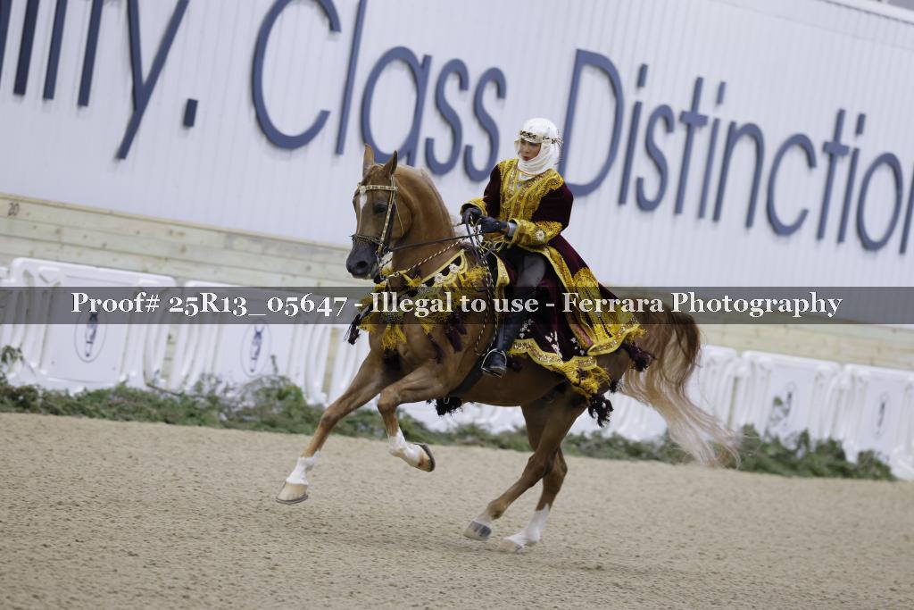 Proof 25R13_05647