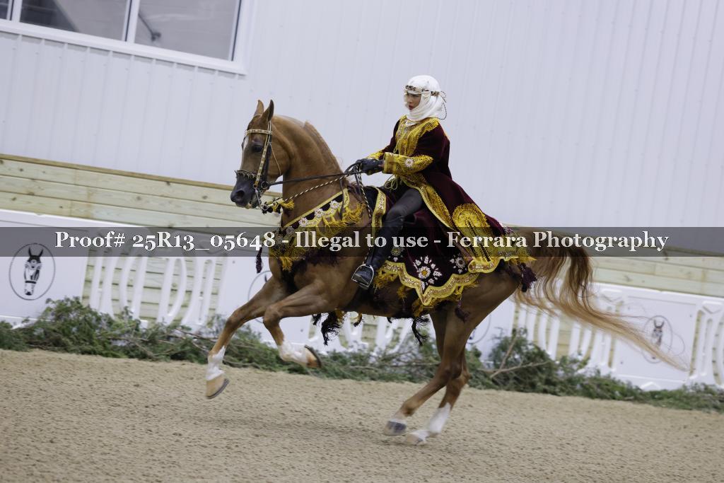 Proof 25R13_05648