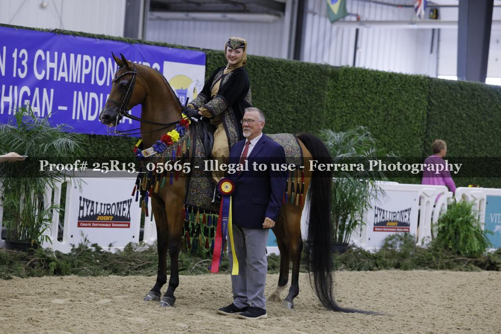 Proof 25R13_05665