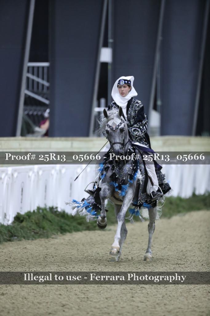 Proof 25R13_05666