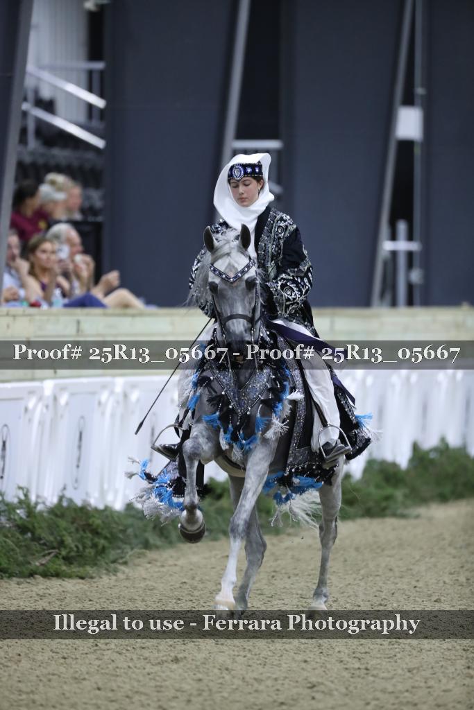 Proof 25R13_05667