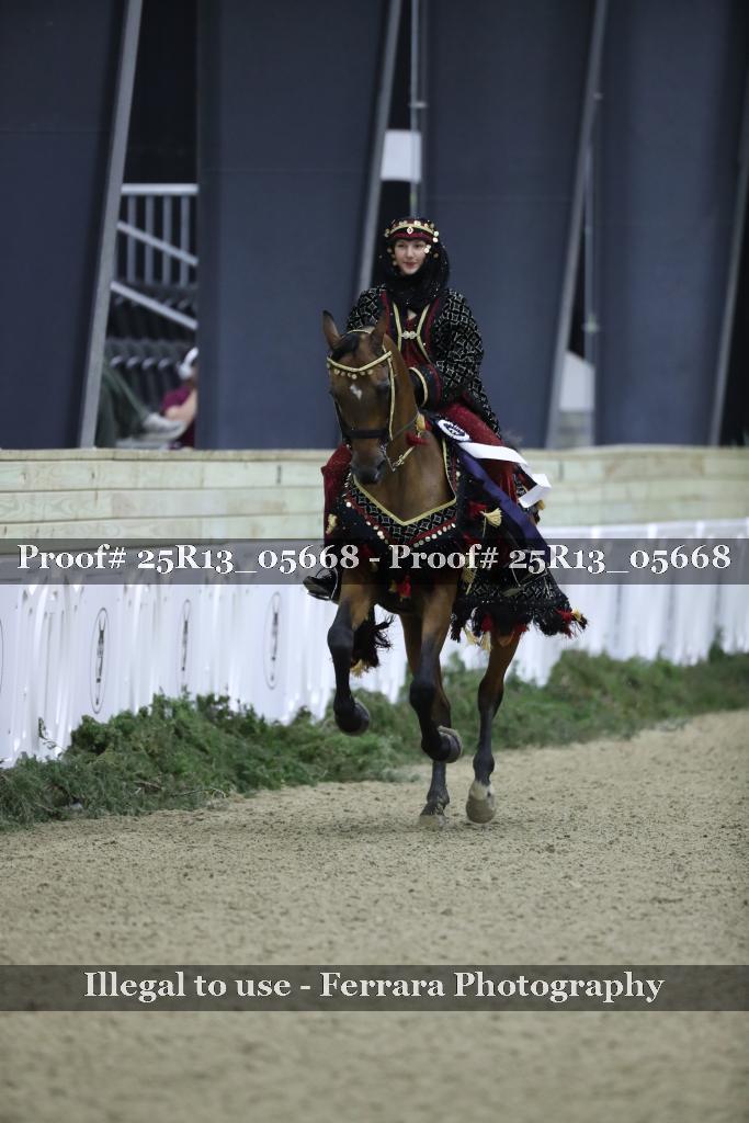 Proof 25R13_05668