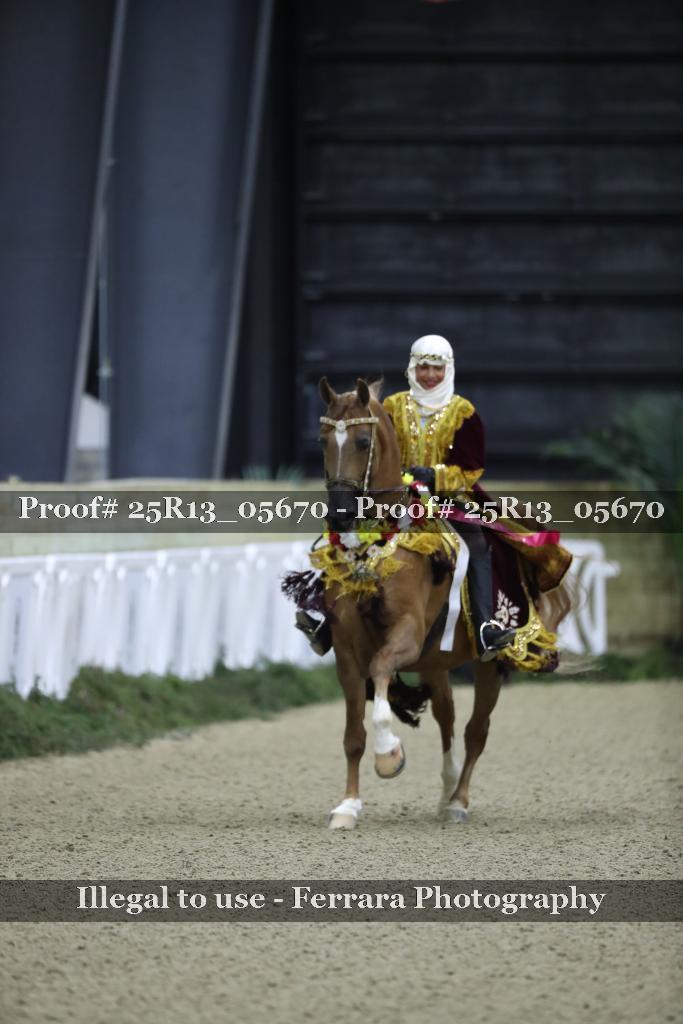 Proof 25R13_05670