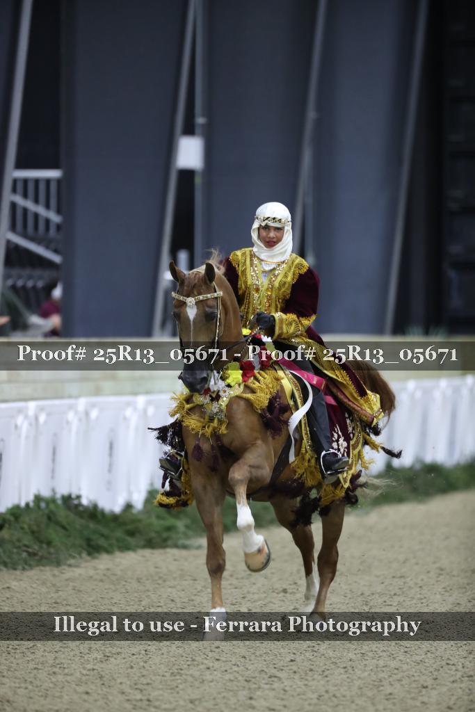 Proof 25R13_05671