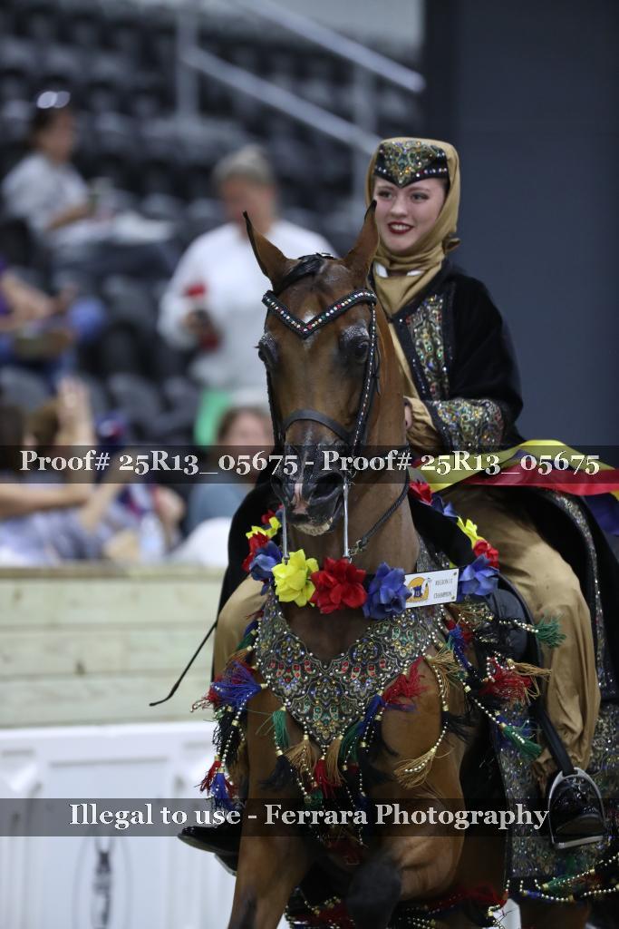 Proof 25R13_05675