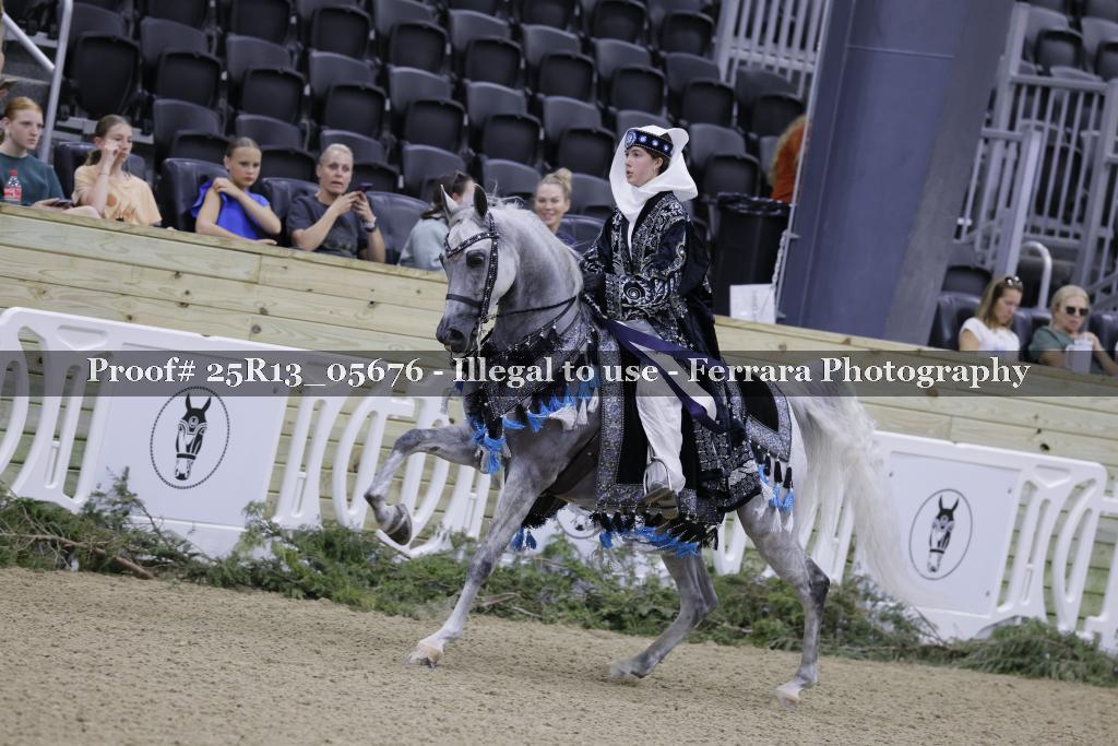 Proof 25R13_05676