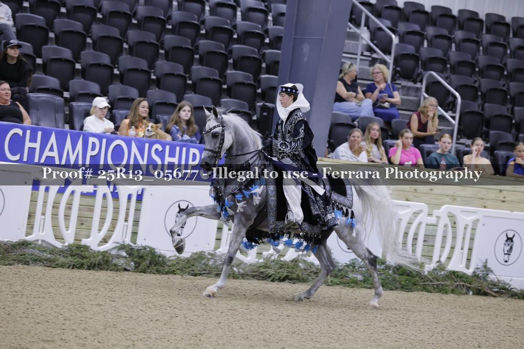 Proof 25R13_05677