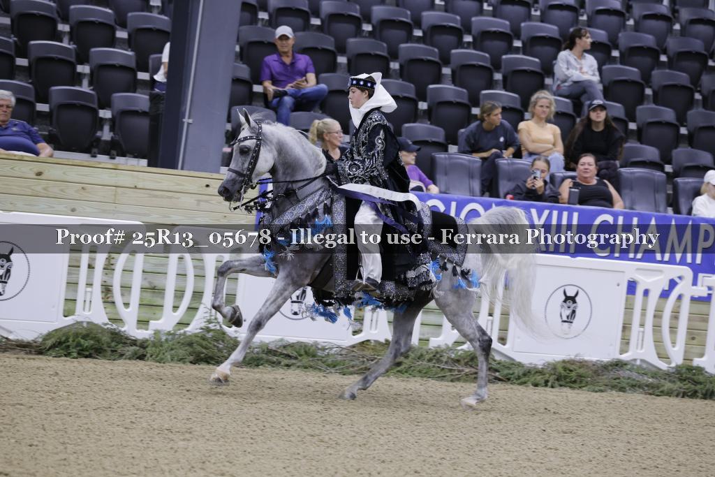 Proof 25R13_05678