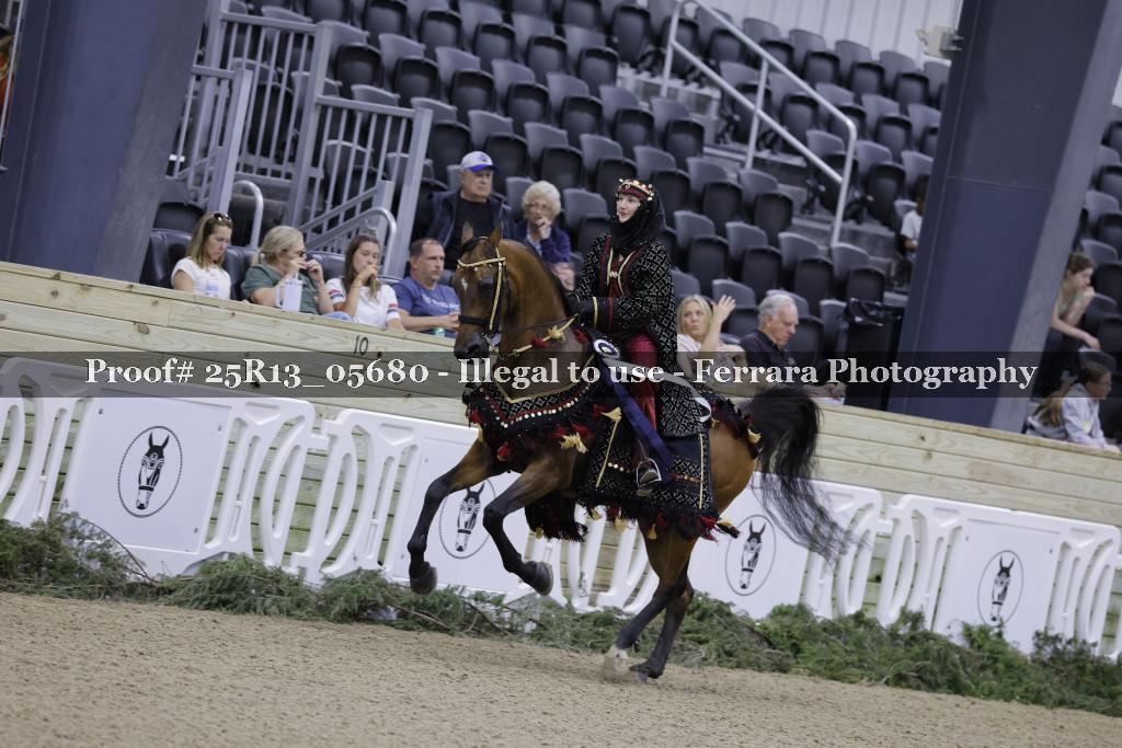 Proof 25R13_05680