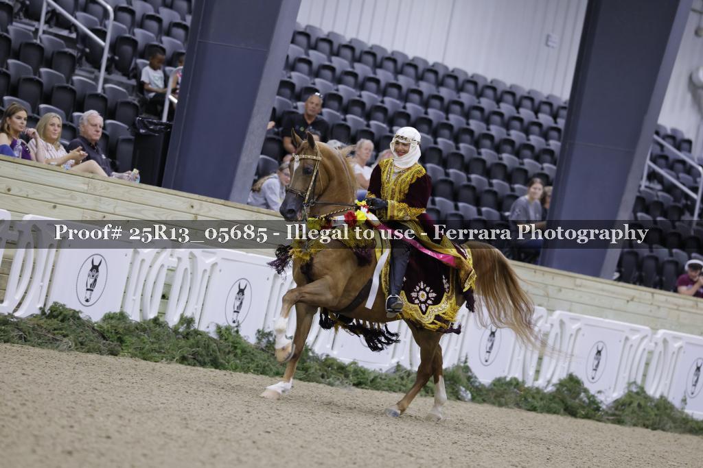 Proof 25R13_05685