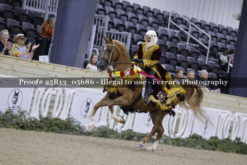 Proof 25R13_05686