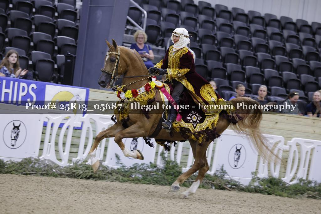 Proof 25R13_05687