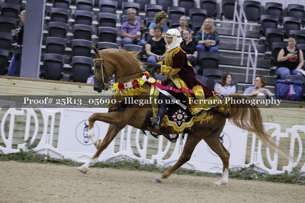Proof 25R13_05690