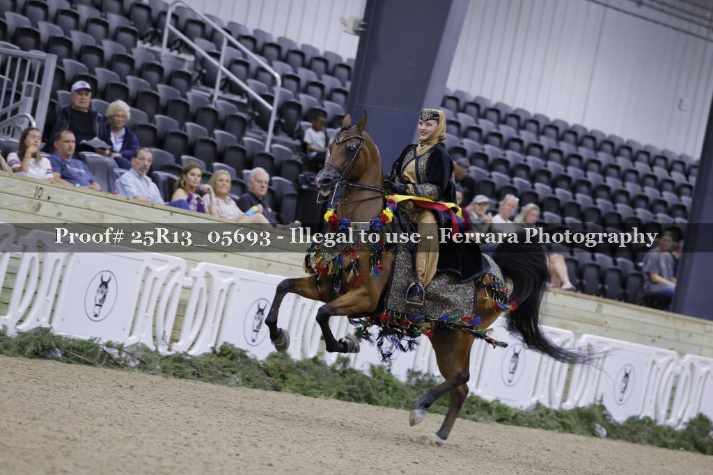 Proof 25R13_05693