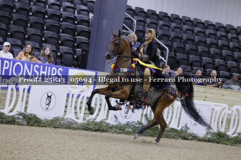 Proof 25R13_05694
