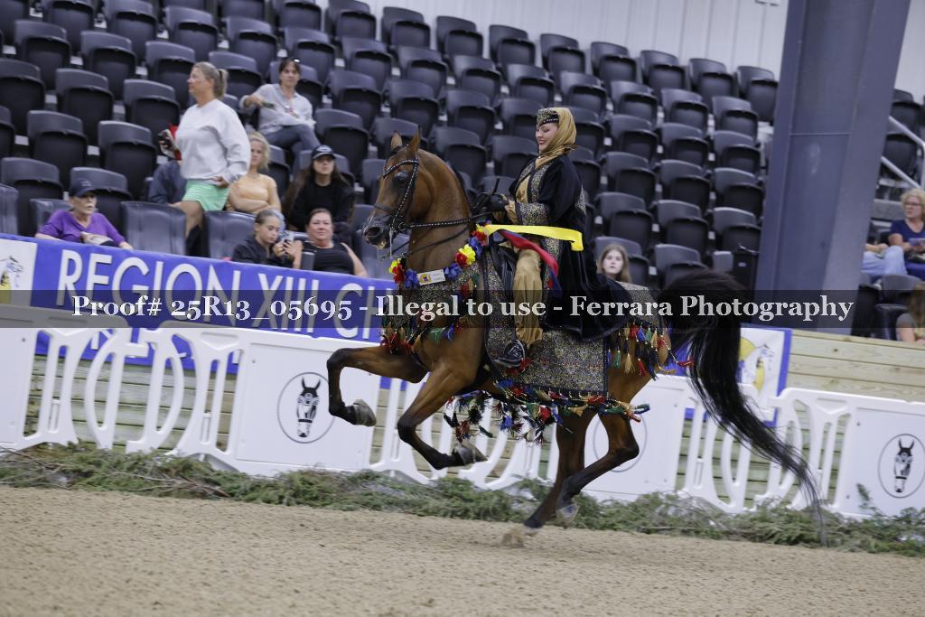 Proof 25R13_05695