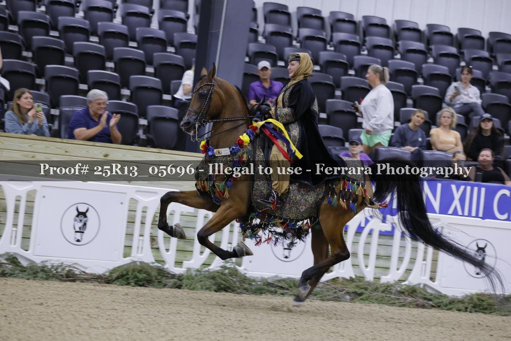 Proof 25R13_05696