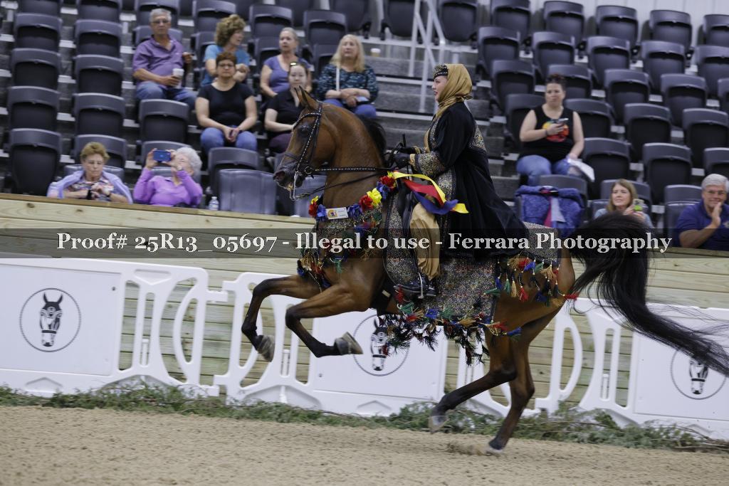 Proof 25R13_05697