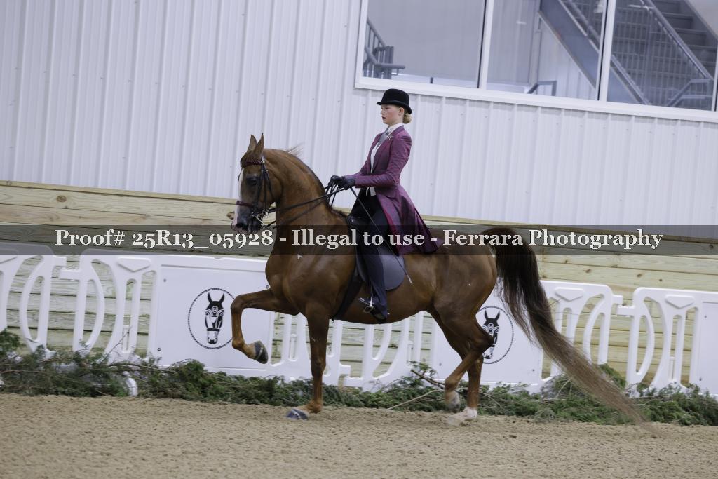 Proof 25R13_05928